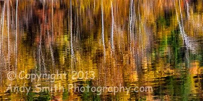 Fall Reflection on the Lackawaxen